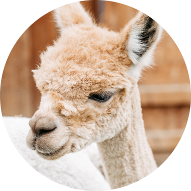 Shooting_LauraJagoschuetz-107