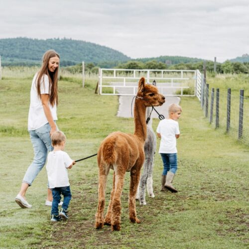 Shooting_LauraJagoschuetz-16-1320x880-min