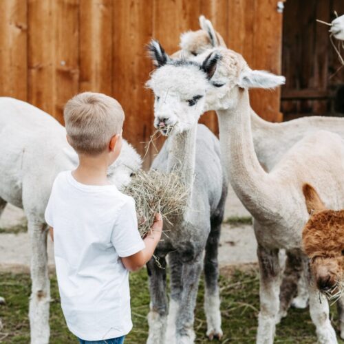 Shooting_LauraJagoschuetz-48-1320x880-min