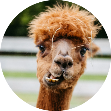 Shooting_LauraJagoschuetz-77