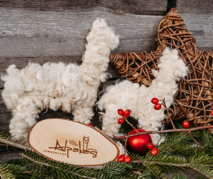 Sonnenland Alpakas_Weihnachten_26112023_LauraJagoschuetz_fullres-5