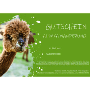 Alpaka Wanderung