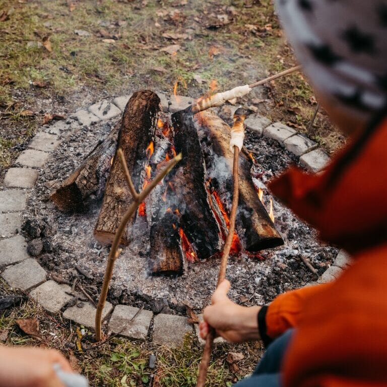 sonnenland-alpakas_weihnachten_26112023_laurajagoschuetz_fullres-10-768x1151-min
