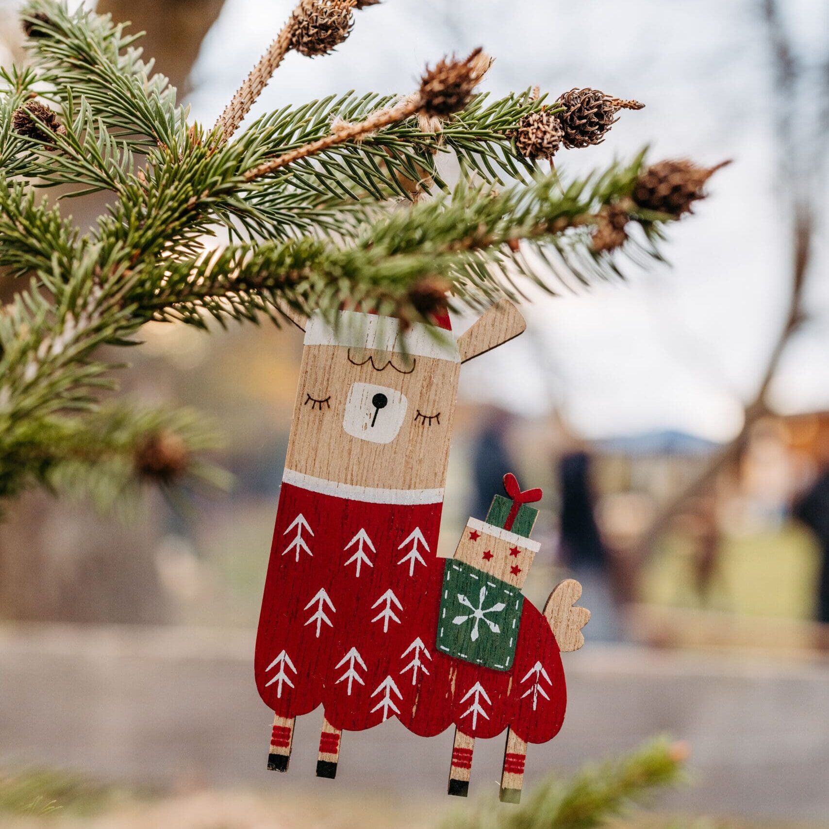 sonnenland-alpakas_weihnachten_26112023_laurajagoschuetz_fullres-43-scaled-min